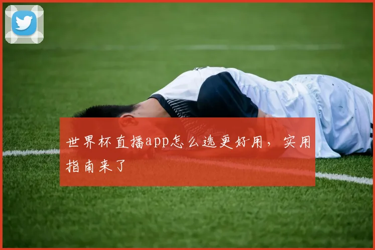 世界杯直播app怎么选更好用，实用指南来了
