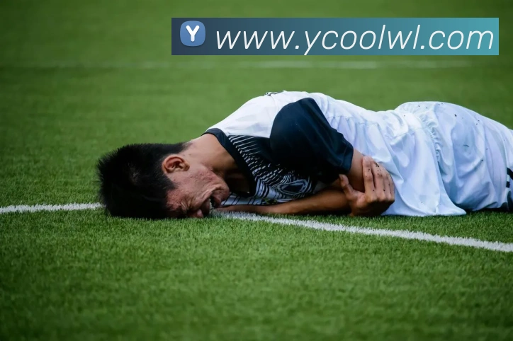 mksports官网平台生态图